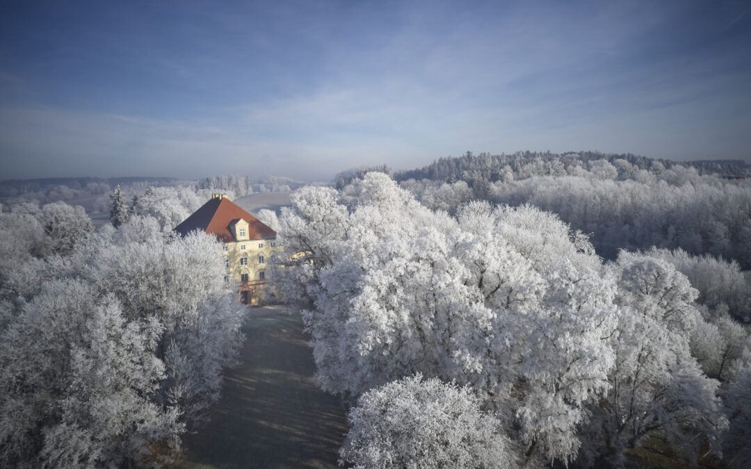 Silvester Dinner im Schloss2025/12/31 17:32 - 2025/12/31 17:32